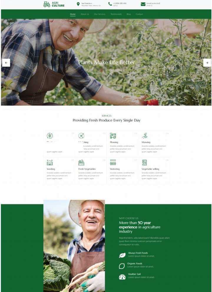 Bootstrap绿色有机果蔬农场html模板 - 区块之眼 - 区块之眼