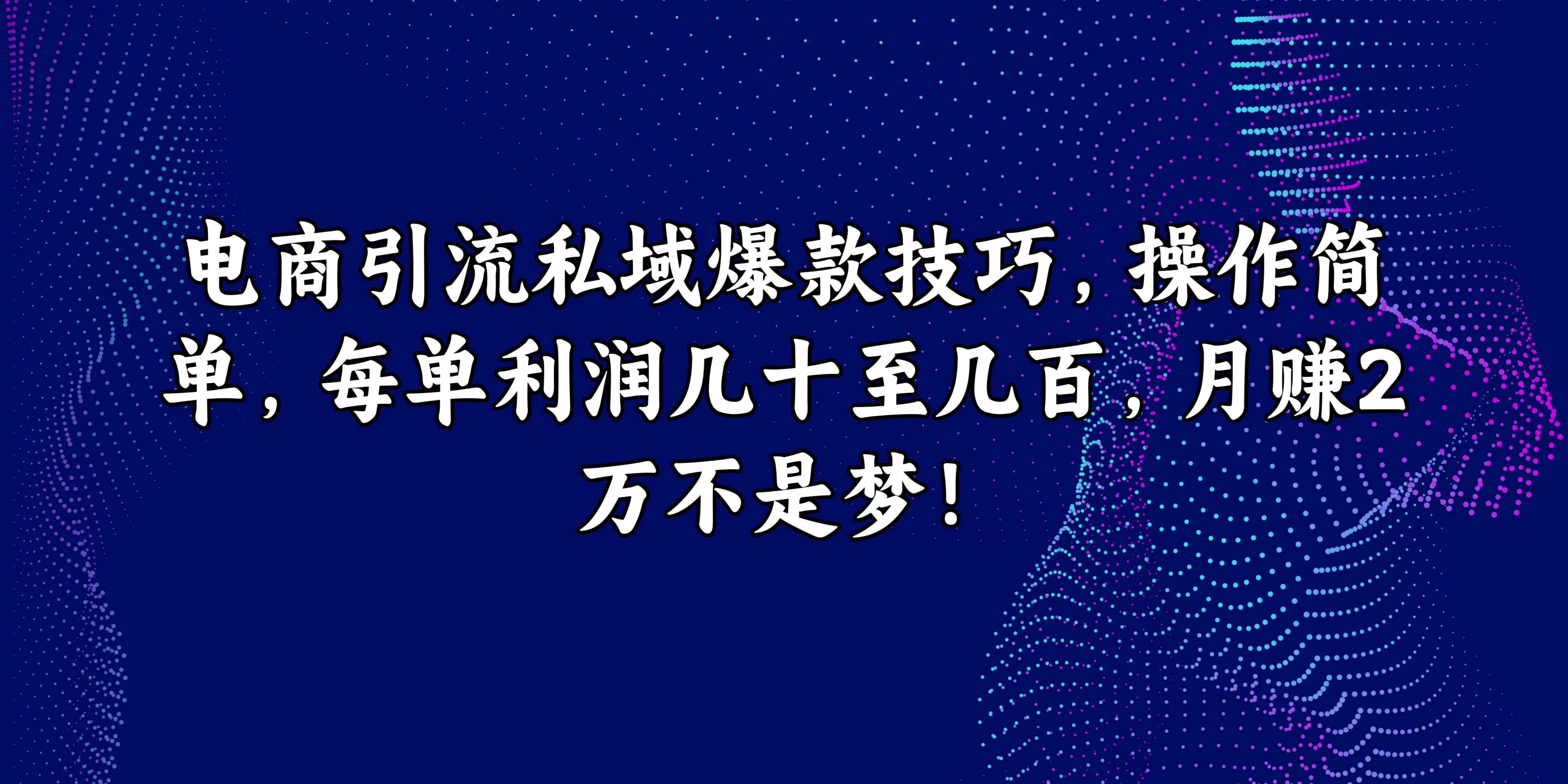 电商引流私域爆款技巧，操作简单，每单利润几十至几百，月赚2万不是梦！ - 区块之眼 - 区块之眼