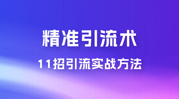 精准引流术：11 招引流实战方法，让你私域流量加到爆（共 11 课） - 区块之眼 - 区块之眼