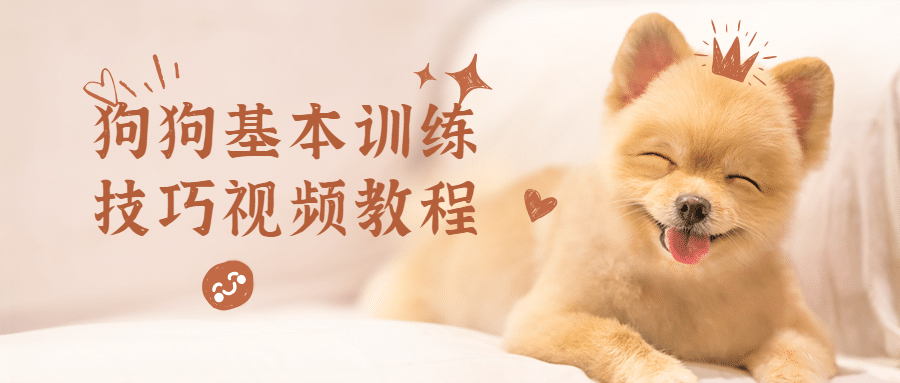 狗狗基本训练技巧视频教程 - 区块之眼 - 区块之眼
