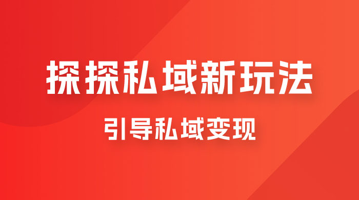 探探私域新玩法，引导私域变现，一部手机日入 500+ 很轻松 - 区块之眼 - 区块之眼