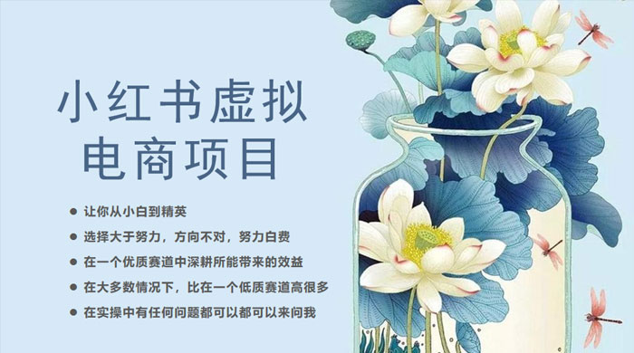 小红书虚拟电商从 0 到 1 ：让你从小白到精英（ 20 节实操课程） - 区块之眼 - 区块之眼