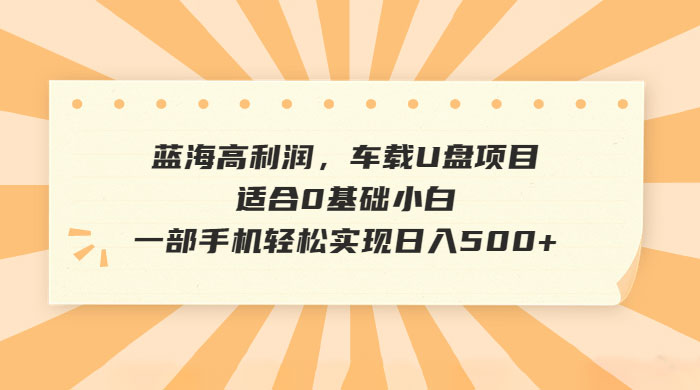 蓝海高利润，车载 U 盘项目，适合 0 基础小白 - 区块之眼 - 区块之眼