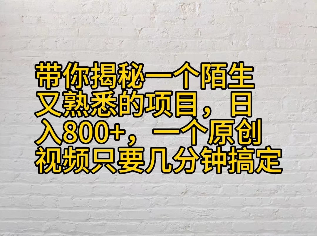 带你揭秘一个陌生又熟悉的项目，日入800+，一个原创视频只要几分钟搞定 - 区块之眼 - 区块之眼