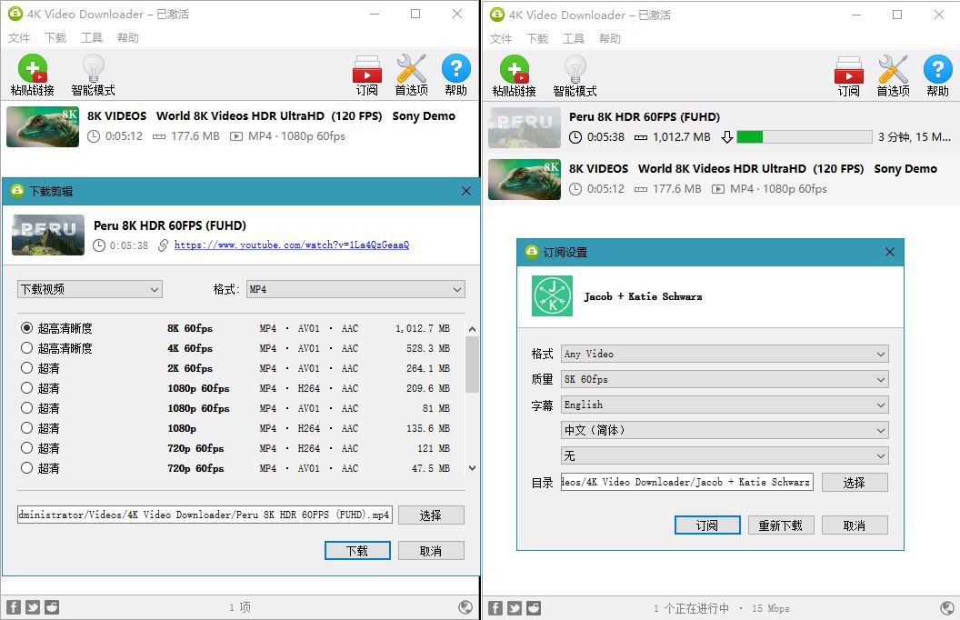 4K Video Downloader v4.19.4 Build 4720 - 区块之眼 - 区块之眼