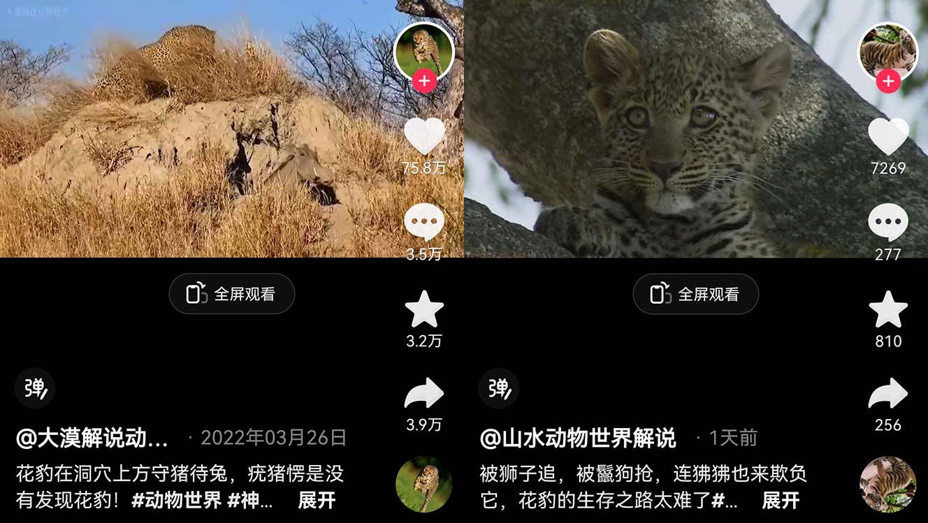 外面卖 1699 的国外纪录片解说：动物、美食、动画片解说，稳过中视频 - 区块之眼 - 区块之眼