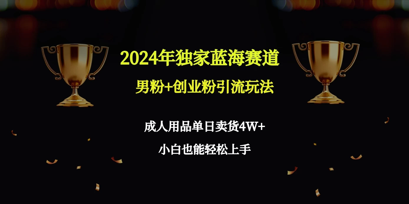 2024独家蓝海赛道，男粉＋创业粉引流玩法。 - 区块之眼 - 区块之眼