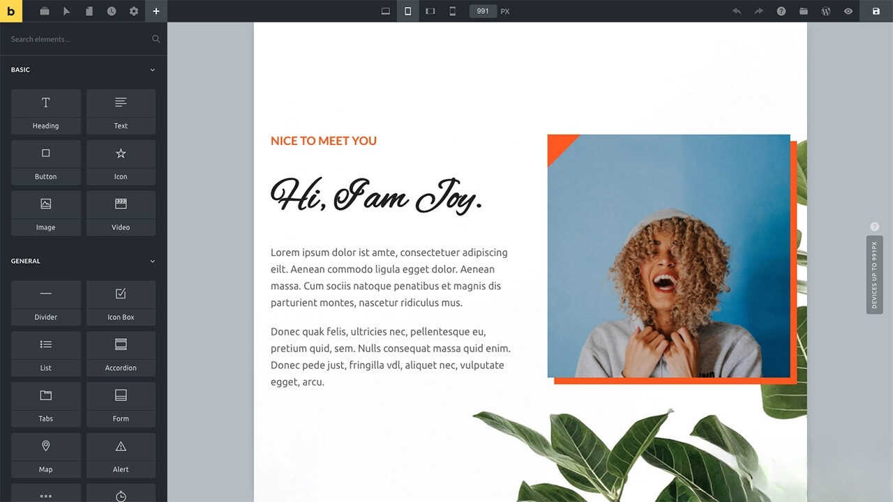 WordPress主题Bricks v1.9 破解版 - 区块之眼