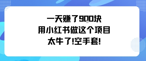 一天挣了9张用小红书做这个项目太牛了，空手套 - 区块之眼 - 区块之眼