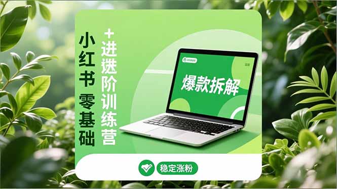 小红书零基础+高阶训练营：安全养号、爆款拆解、长效运营，实现稳定涨粉与变现 - 区块之眼