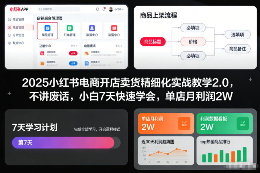 2025小红书电商开店卖货精细化实战教学2.0，不讲废话，小白7天快速学会，单店月利润2W - 区块之眼