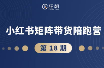 盗坤·抖音小红书视频号短视频带货与直播变现(11-18期) - 区块之眼
