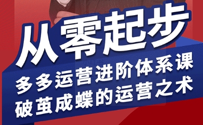 拼多多运营进阶系统课，从零起步，多多运营进阶体系课，破茧成蝶的运营之术(更新9月) - 区块之眼