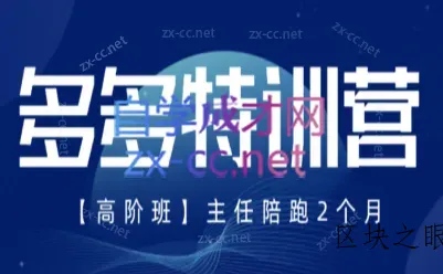 纪主任·拼多多特训营(更新3月) - 区块之眼