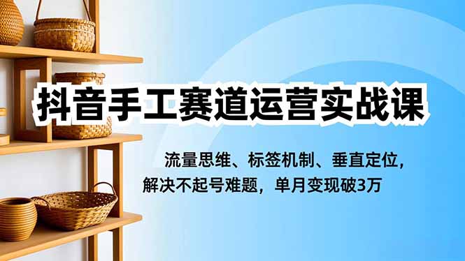 抖音手工赛道运营实战课，流量思维、标签机制、垂直定位，解决不起号难题，单月变现破3万 - 区块之眼