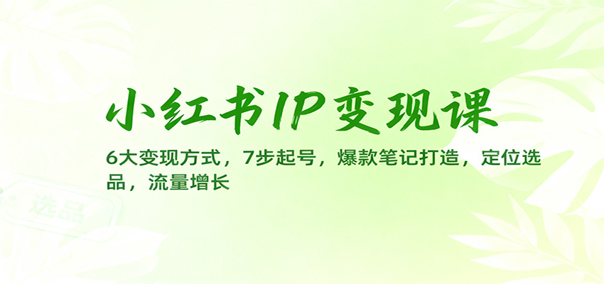 小红书IP变现课：6大变现方式，7步起号，爆款笔记打造，定位选品，流量增长 - 区块之眼