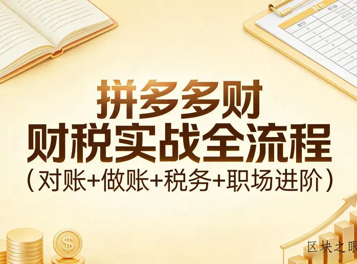 拼多多财税实战全流程(对账+做账+税务+职场进阶) - 区块之眼