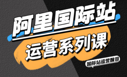 醒目老师·阿里国际站运营系列课(更新11月) - 区块之眼
