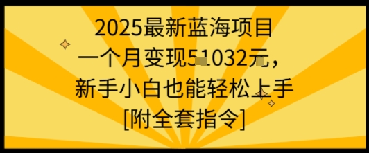 2025最新蓝海项目一个月变现1w+新手小白也能轻松上手【附全套指令】 - 区块之眼 - 区块之眼