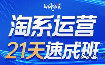 白凤电商·淘系运营21天速成班(更新2月) - 区块之眼