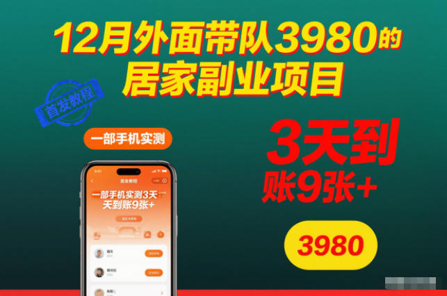 12月外面带队3980的居家副业项目，一部手机实测3天到账9张+，首发教程【揭秘】 - 区块之眼
