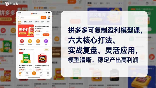 拼多多可复制盈利模型课，六大核心打法、实战复盘、灵活应用，模型清晰，稳定产出高利润 - 区块之眼