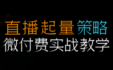 半野老师·直播带货起量与微付费必学课视频号 - 区块之眼