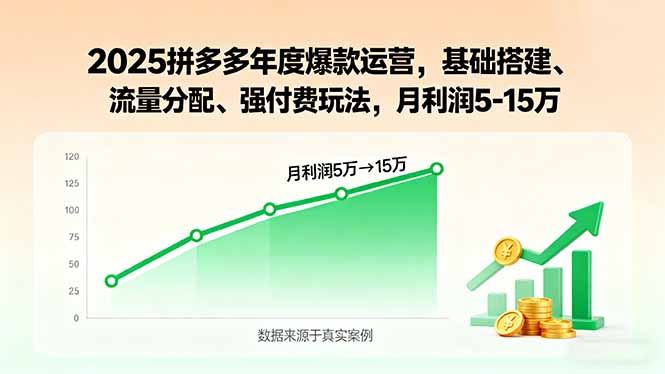 2025拼多多年度爆款运营，基础搭建、流量分配、强付费玩法，月利润5-15万 - 区块之眼 - 区块之眼