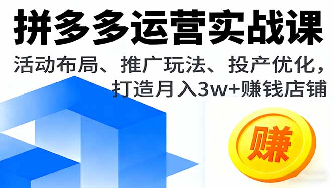 拼多多运营实战课，活动布局、推广玩法、投产优化，打造月入3w+赚钱店铺 - 区块之眼
