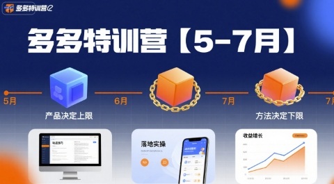 多多特训营，产品决定上限，方法决定下限，各种玩法技巧落地实操(更新) - 区块之眼 - 区块之眼