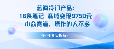 蓝海项目：16条笔记私域变现9750米小众赛道操作的人不多 - 区块之眼 - 区块之眼