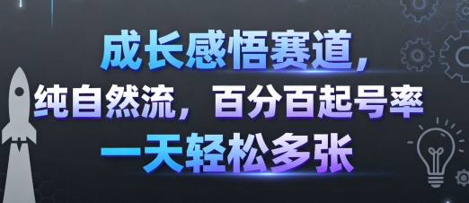 成长感悟赛道，纯自然流，百分百起号率 一天轻松多张 - 区块之眼 - 区块之眼