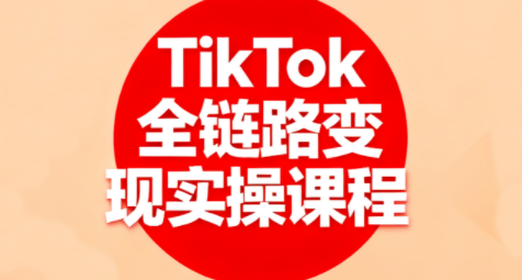 小杨老师·TikTok全链路变现实操课程 - 区块之眼 - 区块之眼