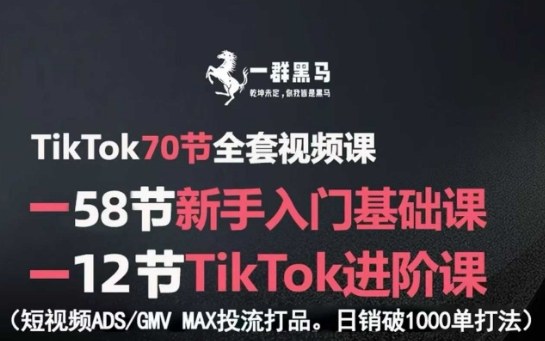 TikTok全套视频课，新手入门+进阶课，短视频ADS-GMV MAX投流打品，日销破1000单打法 - 区块之眼 - 区块之眼