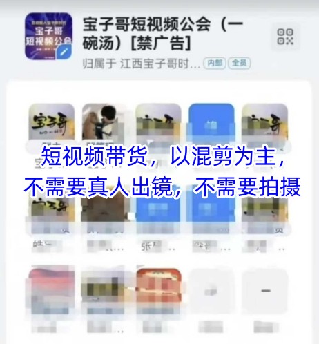 宝子哥头部团队短视频带货，以混剪为主，不需要真人出镜，不需要拍摄【更新12月】 - 区块之眼