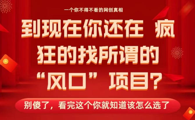 马上26年了，你还在找所谓的风口项目？别傻了，看完这个你全都懂了！【揭秘】 - 区块之眼