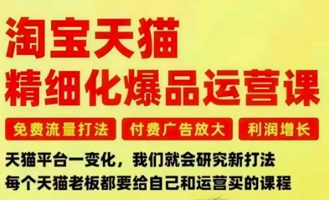 淘宝天猫精细化爆品运营课，免费流量打法-付费广告放大-利润增长-三大核心痛点，一次全部解决 - 区块之眼