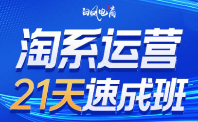 白凤电商·淘系运营21天速成班(更新9月) - 区块之眼 - 区块之眼